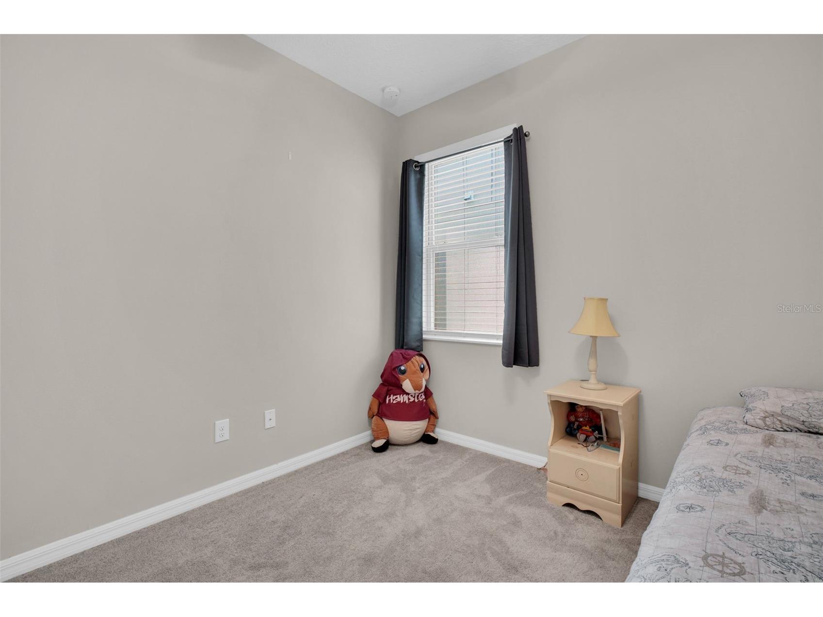 9579 Flourish Drive Land O Lakes FL 34637 TB8512324 image6