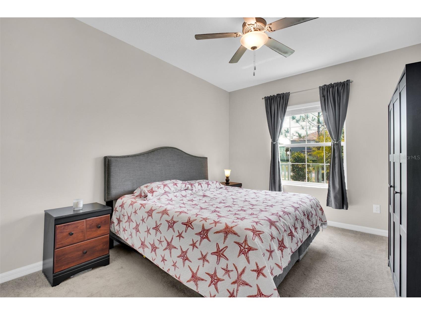 9579 Flourish Drive Land O Lakes FL 34637 TB8512324 image8
