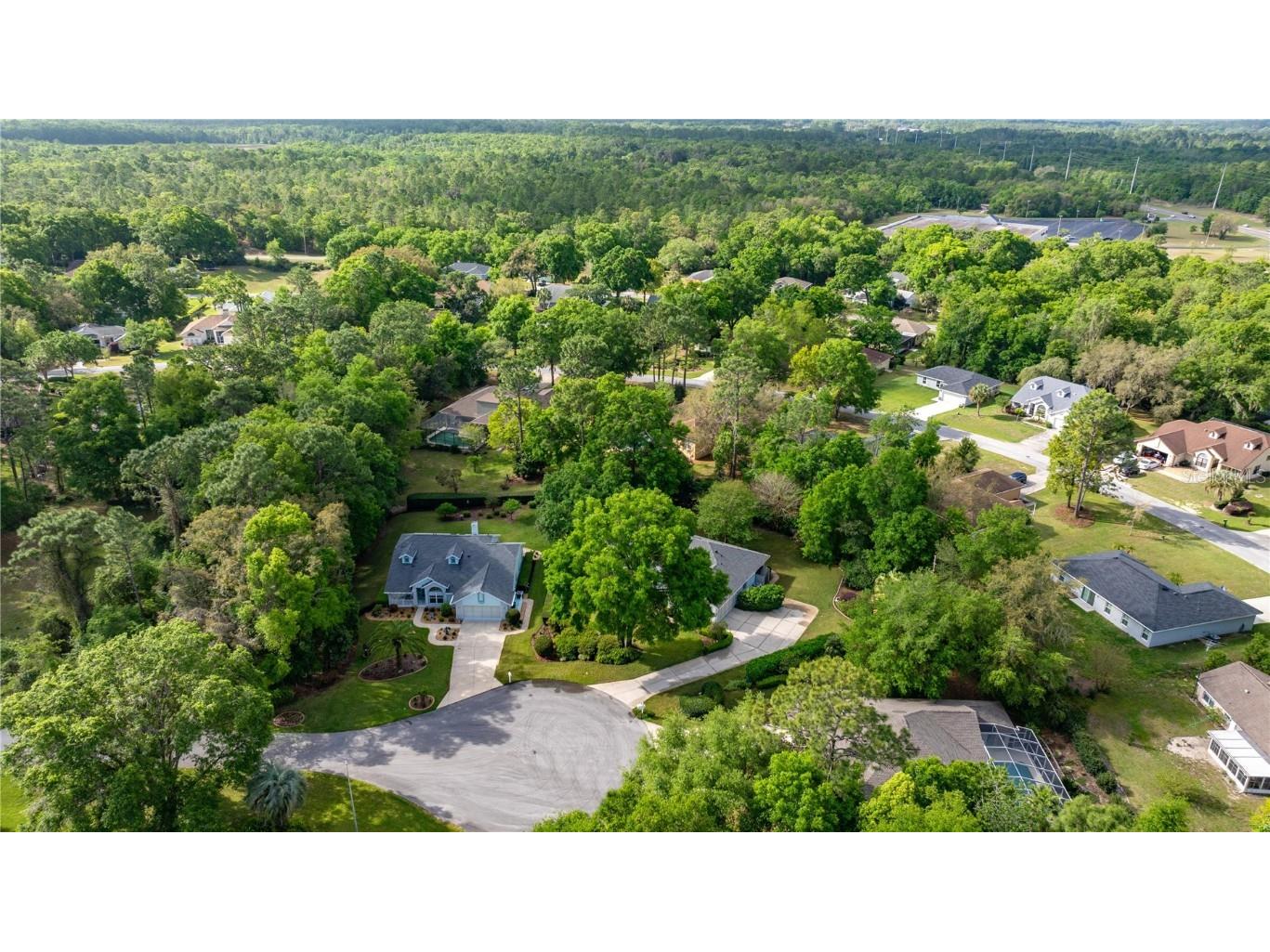 9579 SW 195 Circle Dunnellon FL 34432 - RAINBOW RIVER OM713166 image10