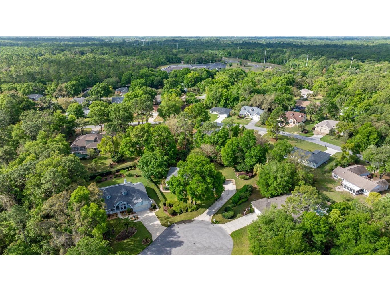 9579 SW 195 Circle Dunnellon FL 34432 - RAINBOW RIVER OM713166 image11