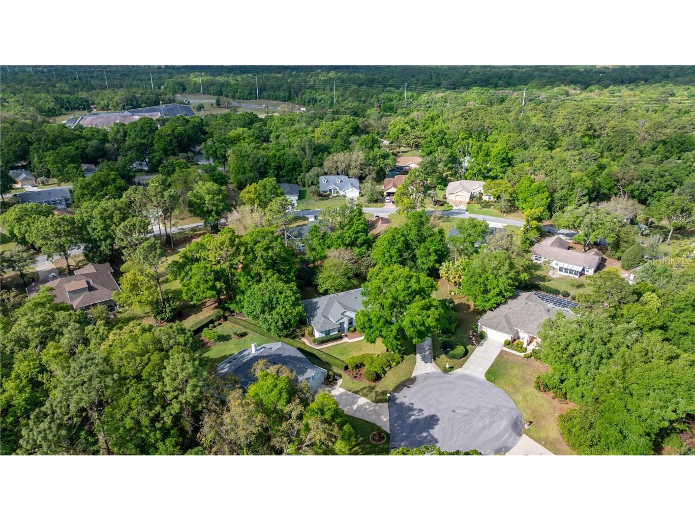 9579 SW 195 Circle Dunnellon FL 34432 - RAINBOW RIVER OM713166 image12