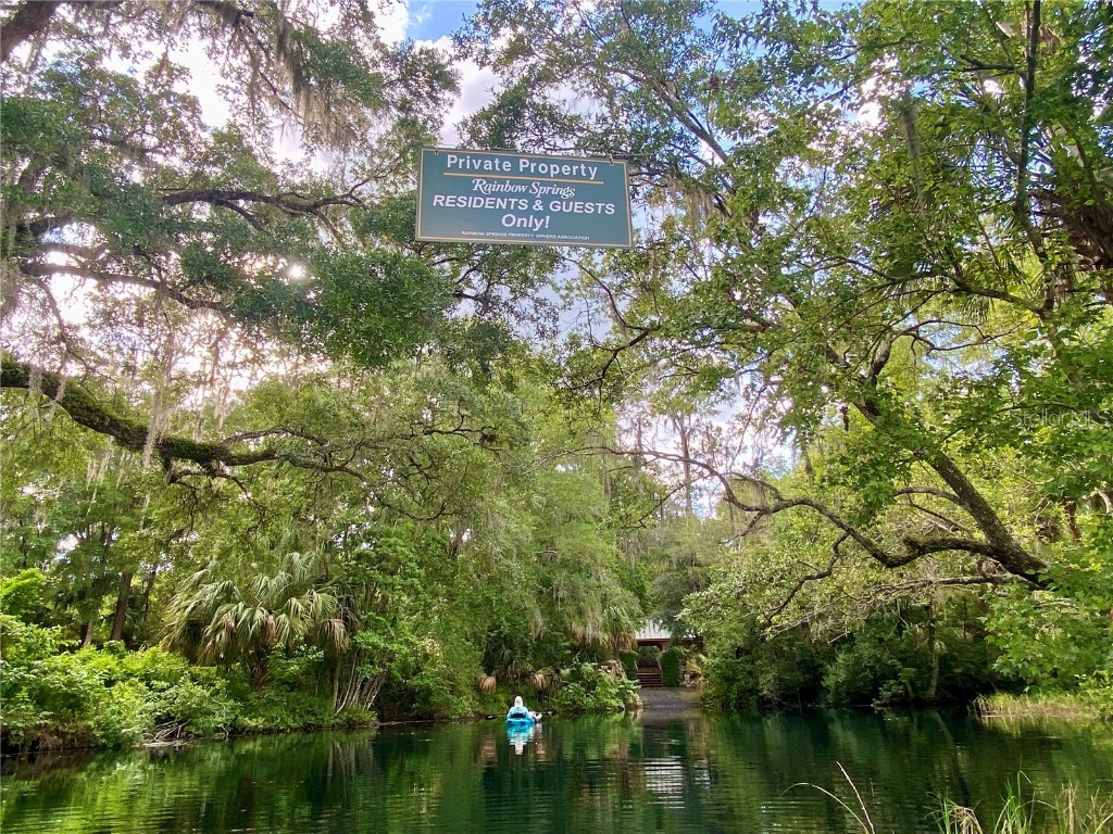 9579 SW 195 Circle Dunnellon FL 34432 - RAINBOW RIVER OM713166 image49