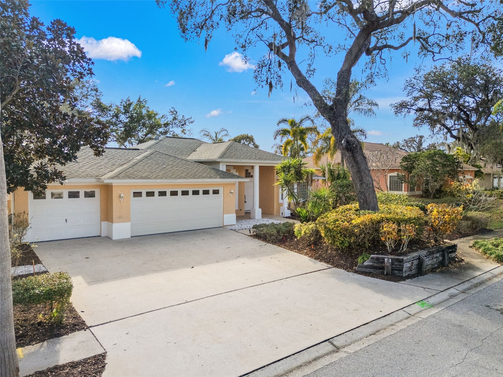 958 Ridgewood Terrace Tarpon Springs FL 34689 W7883170 image1