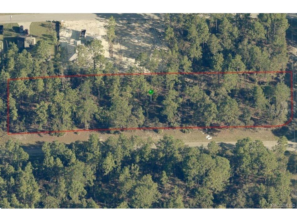 958 W Cary Drive Citrus Springs FL 34434 G5065226 image1