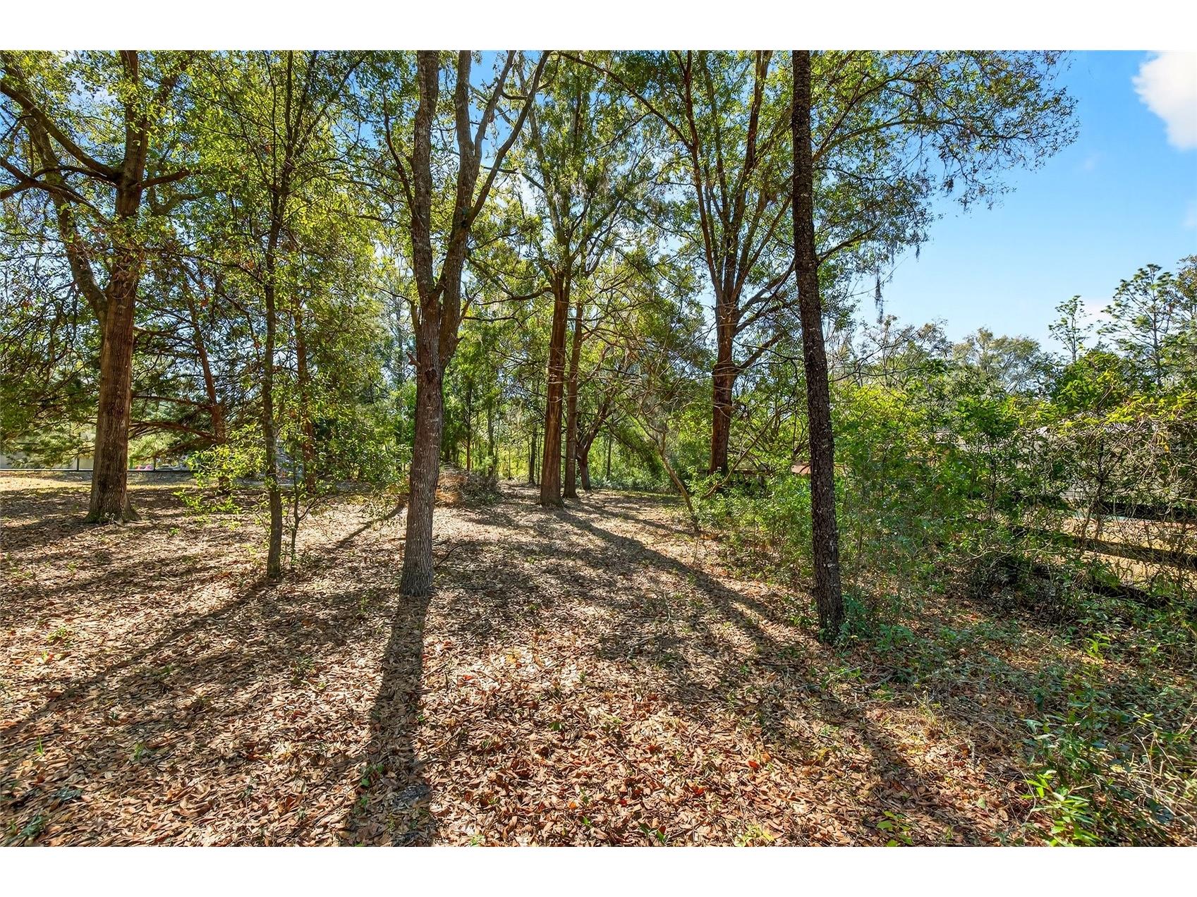 9580 SW 200th Court Dunnellon FL 34431 - RAINBOW SPRINGS/RIVER O6375186 image40