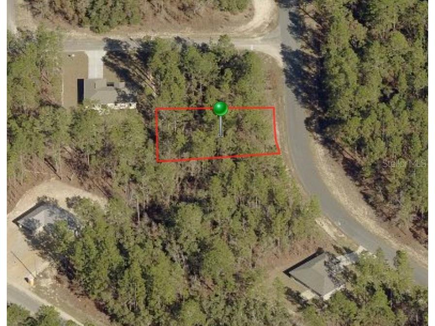 9582 N Cherry Lake Drive Citrus Springs FL 34433 OM654188 image1