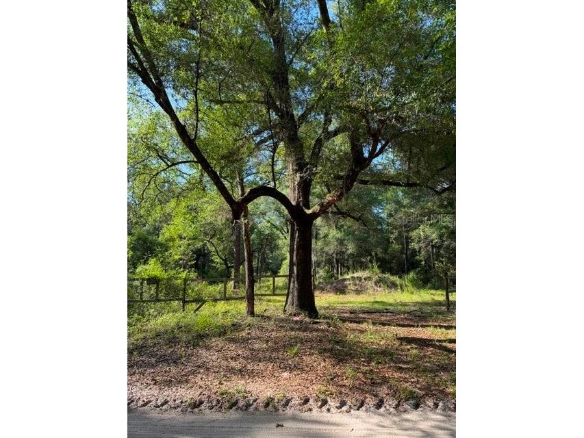 9587 SW 151st Place Dunnellon FL 34432 OM725934 image1