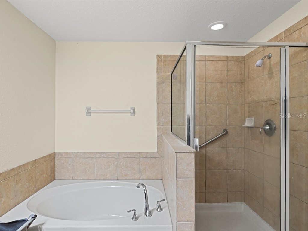 9588 Trumpet Vine Loop Trinity FL 34655 W7879643 image21