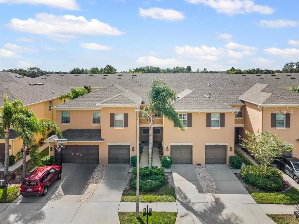 9588 Trumpet Vine Loop Trinity FL 34655 W7879643 image38