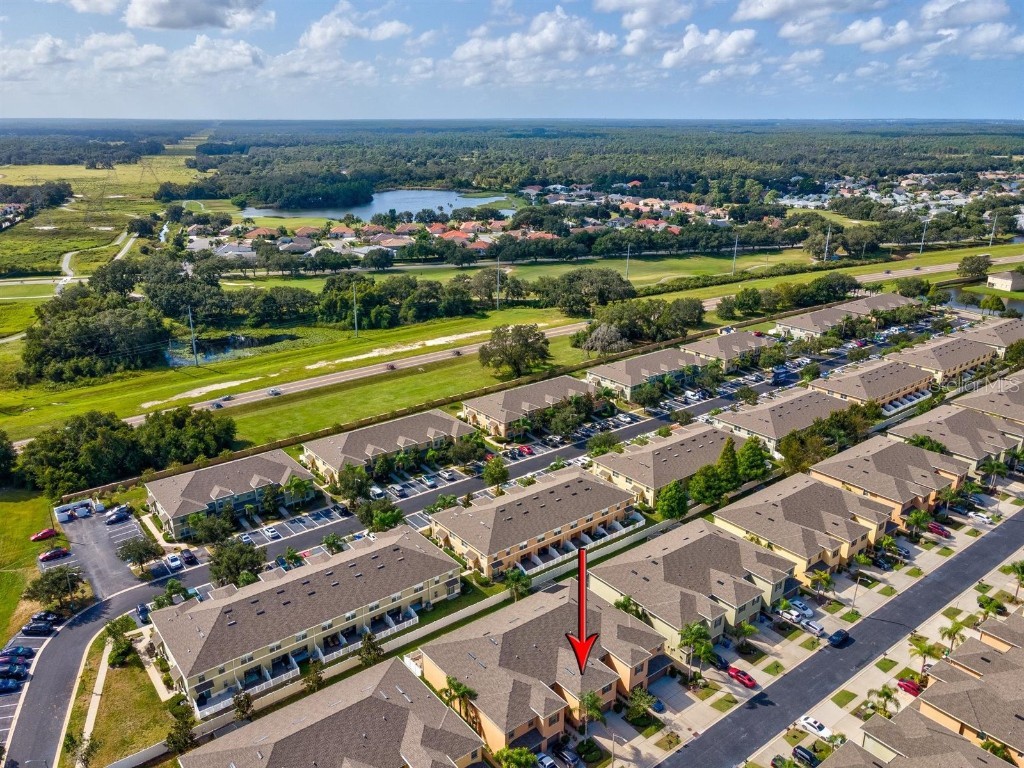 9588 Trumpet Vine Loop Trinity FL 34655 W7879643 image42