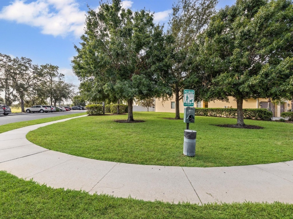 9588 Trumpet Vine Loop Trinity FL 34655 W7879643 image46