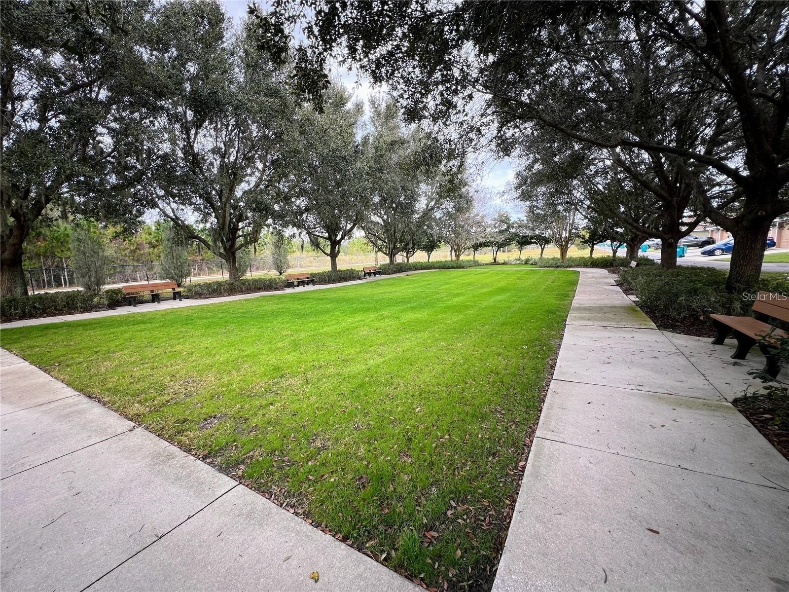 9589 Pine Lily Street Orlando FL 32827 O6423154 image80