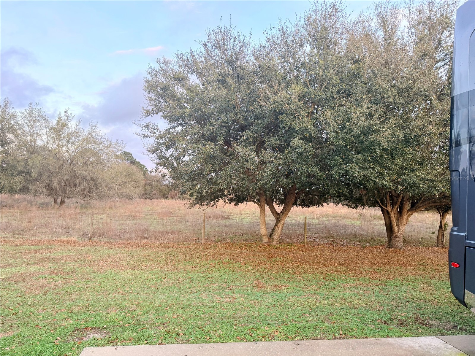 9589 SE 49th Terrace Webster FL 33597 G5111450 image5