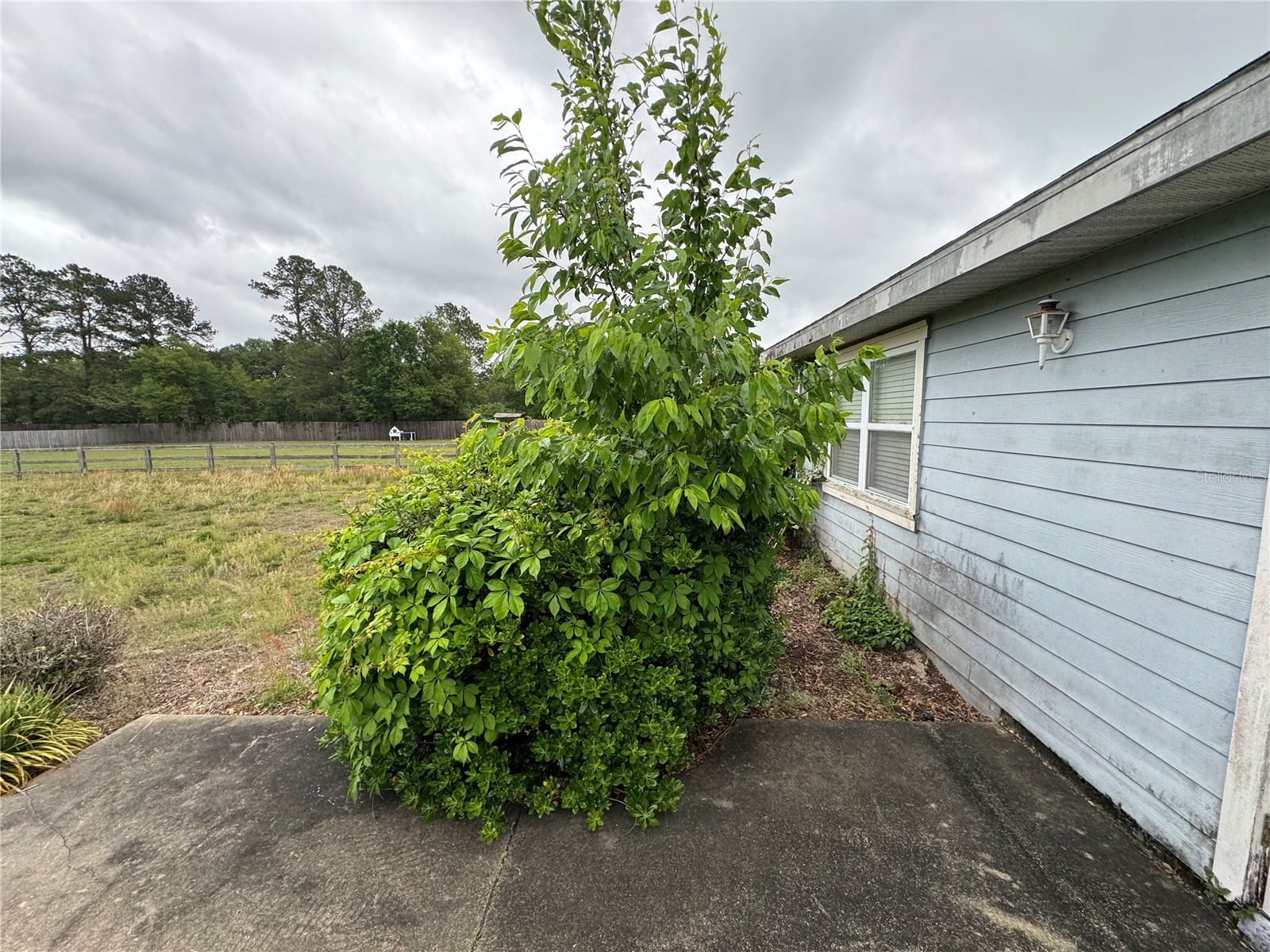 9590 SW 98th Avenue Gainesville FL 32608 TB8496348 image33