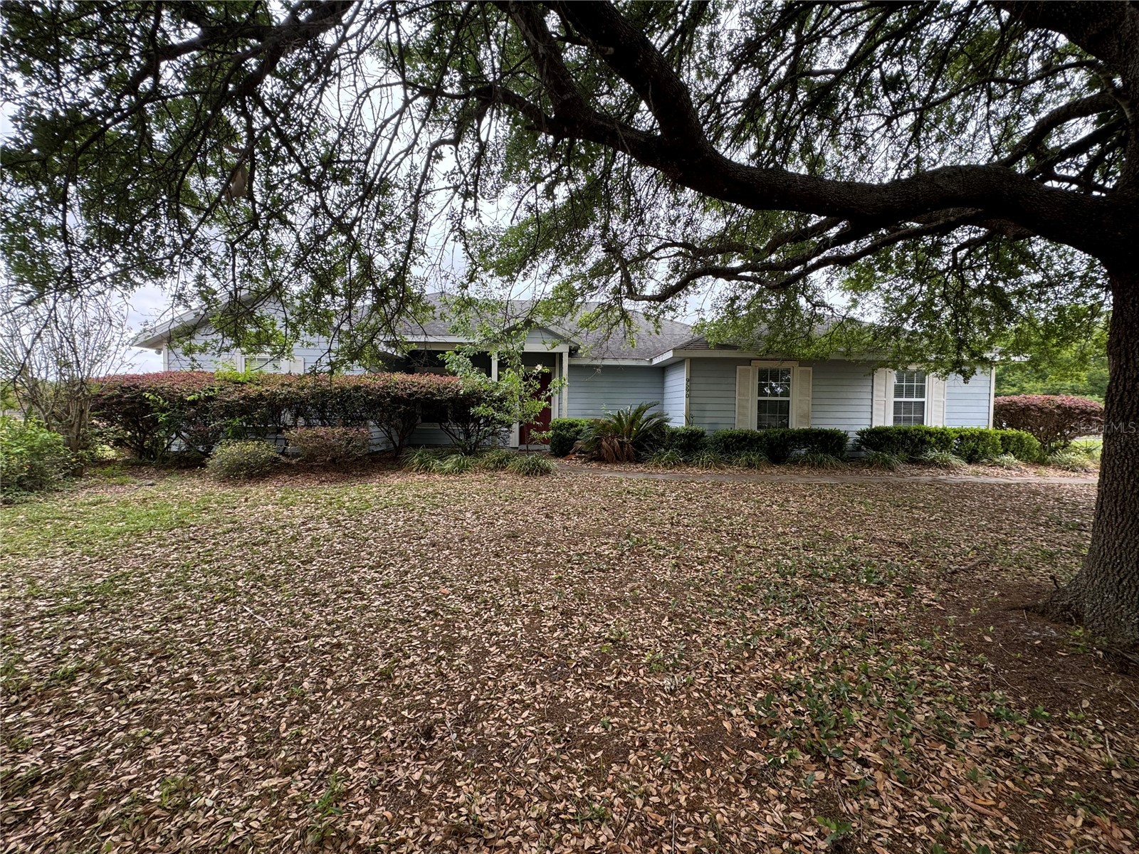 9590 SW 98th Avenue Gainesville FL 32608 TB8496348 image37