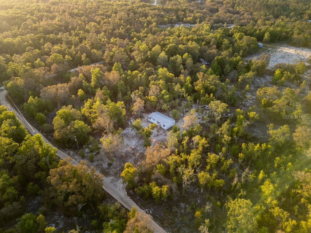 9591 NE 87th Place Bronson FL 32621 OM722849 image50