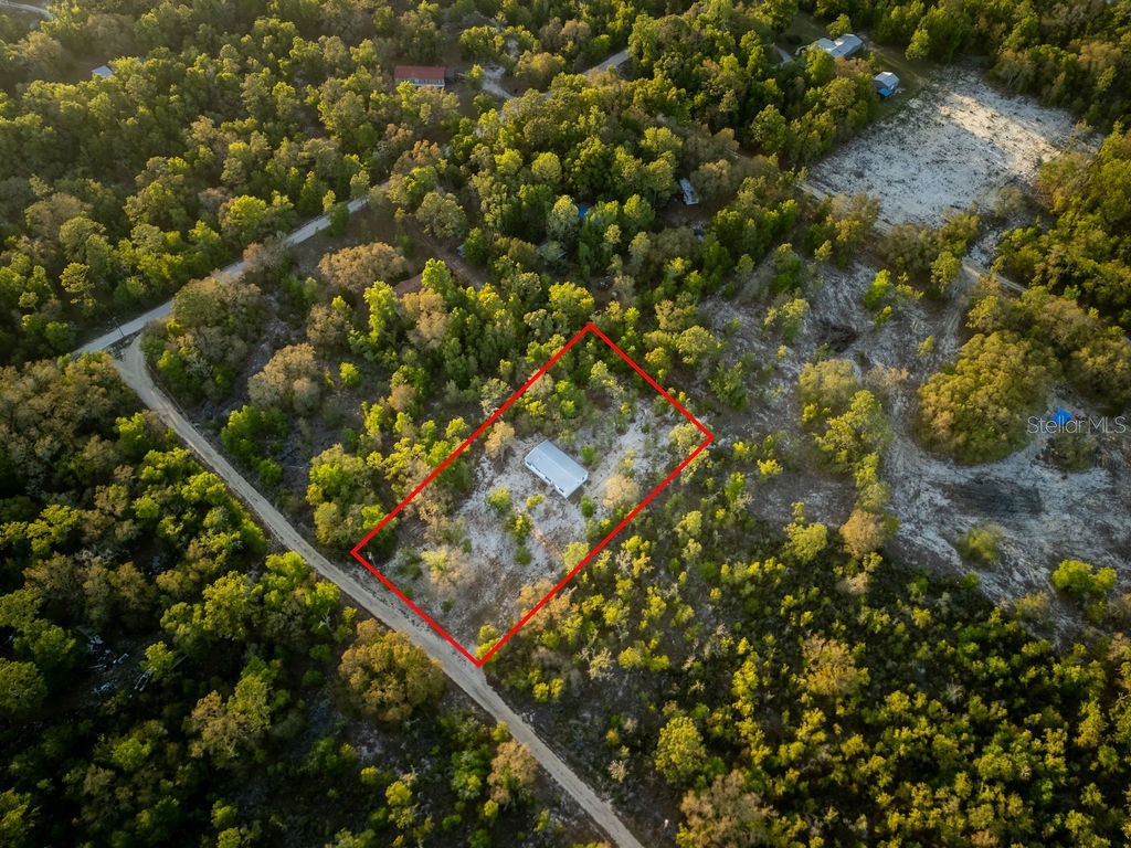 9591 NE 87th Place Bronson FL 32621 OM722849 image52
