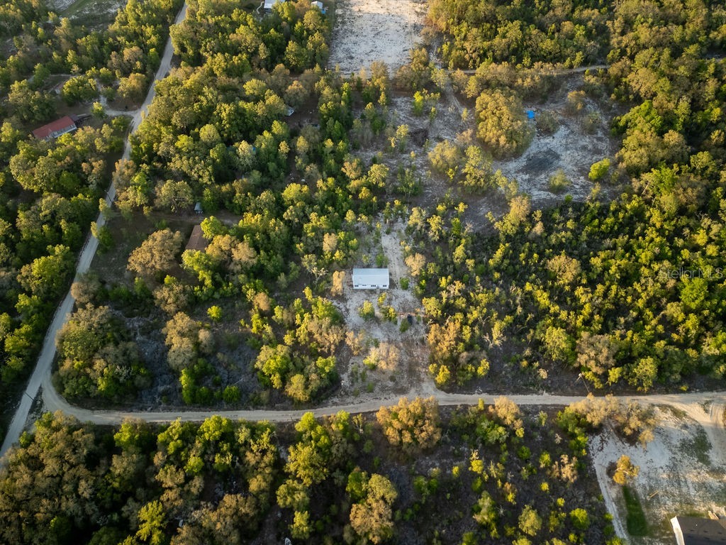 9591 NE 87th Place Bronson FL 32621 OM722849 image53