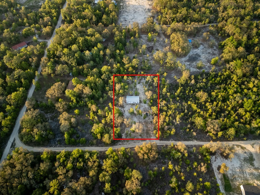 9591 NE 87th Place Bronson FL 32621 OM722849 image54