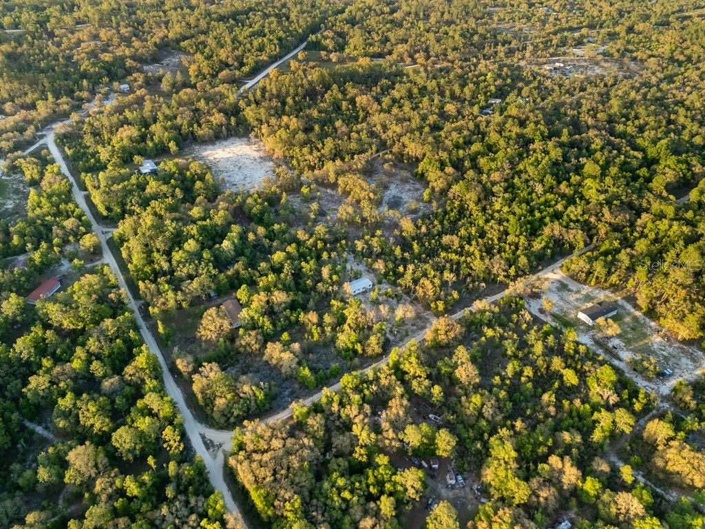 9591 NE 87th Place Bronson FL 32621 OM722849 image55
