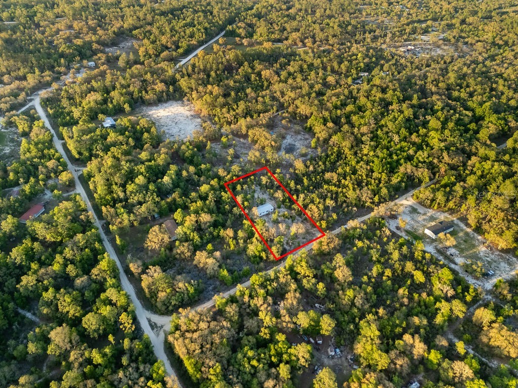 9591 NE 87th Place Bronson FL 32621 OM722849 image56