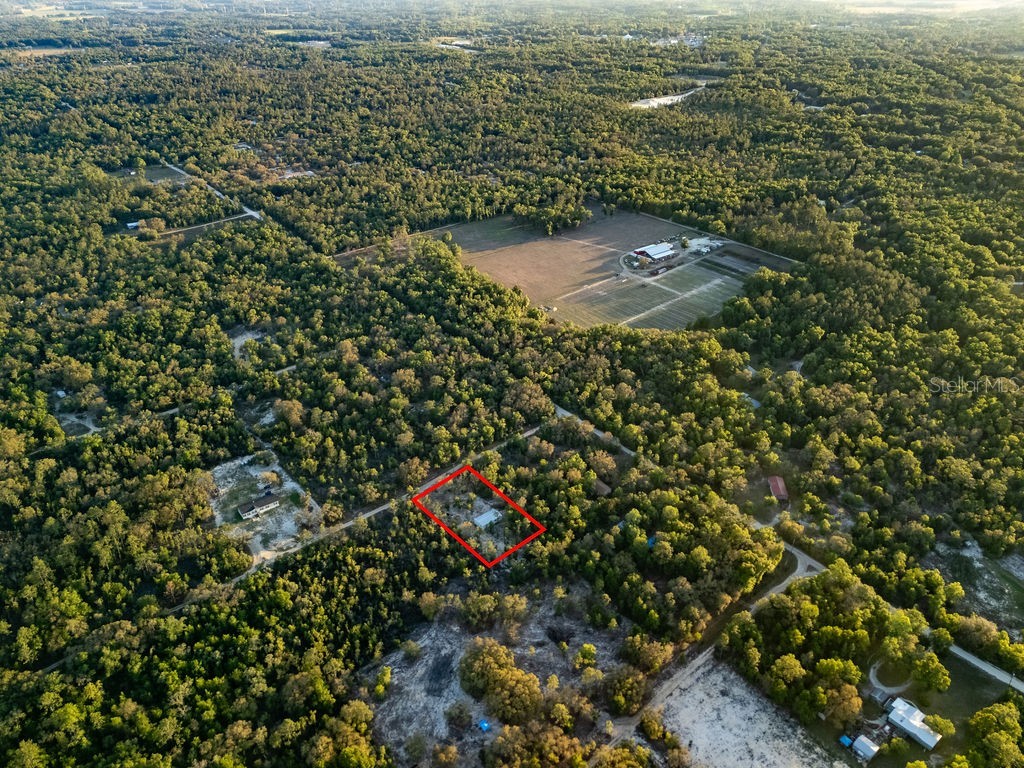9591 NE 87th Place Bronson FL 32621 OM722849 image58