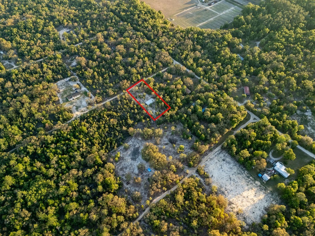 9591 NE 87th Place Bronson FL 32621 OM722849 image61