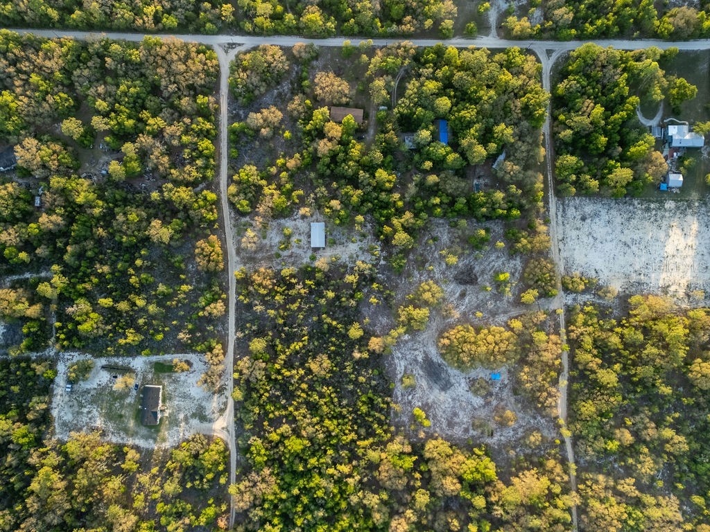 9591 NE 87th Place Bronson FL 32621 OM722849 image62