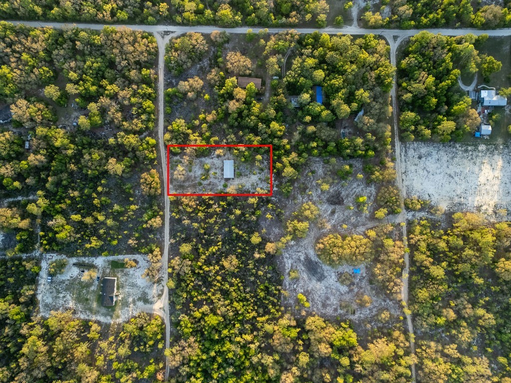9591 NE 87th Place Bronson FL 32621 OM722849 image63