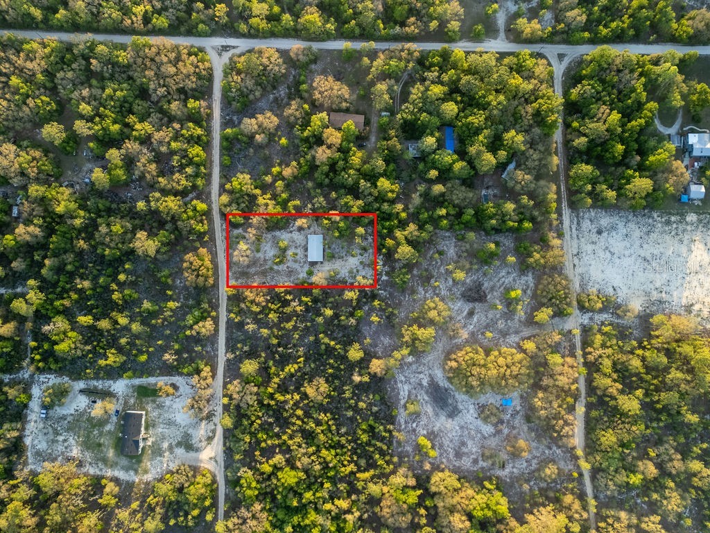 9591 NE 87th Place Bronson FL 32621 OM722849 image64