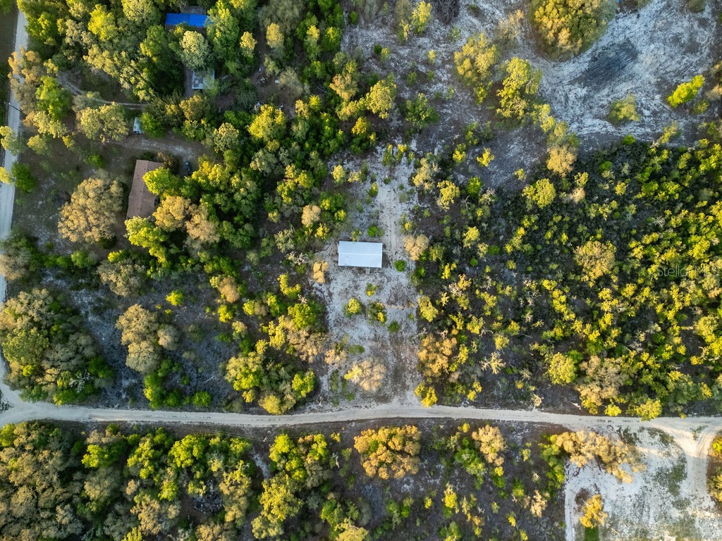 9591 NE 87th Place Bronson FL 32621 OM722849 image66