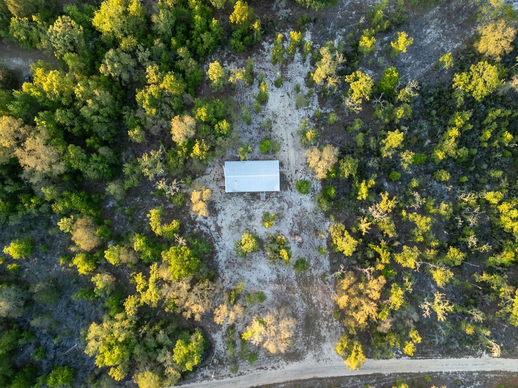9591 NE 87th Place Bronson FL 32621 OM722849 image68