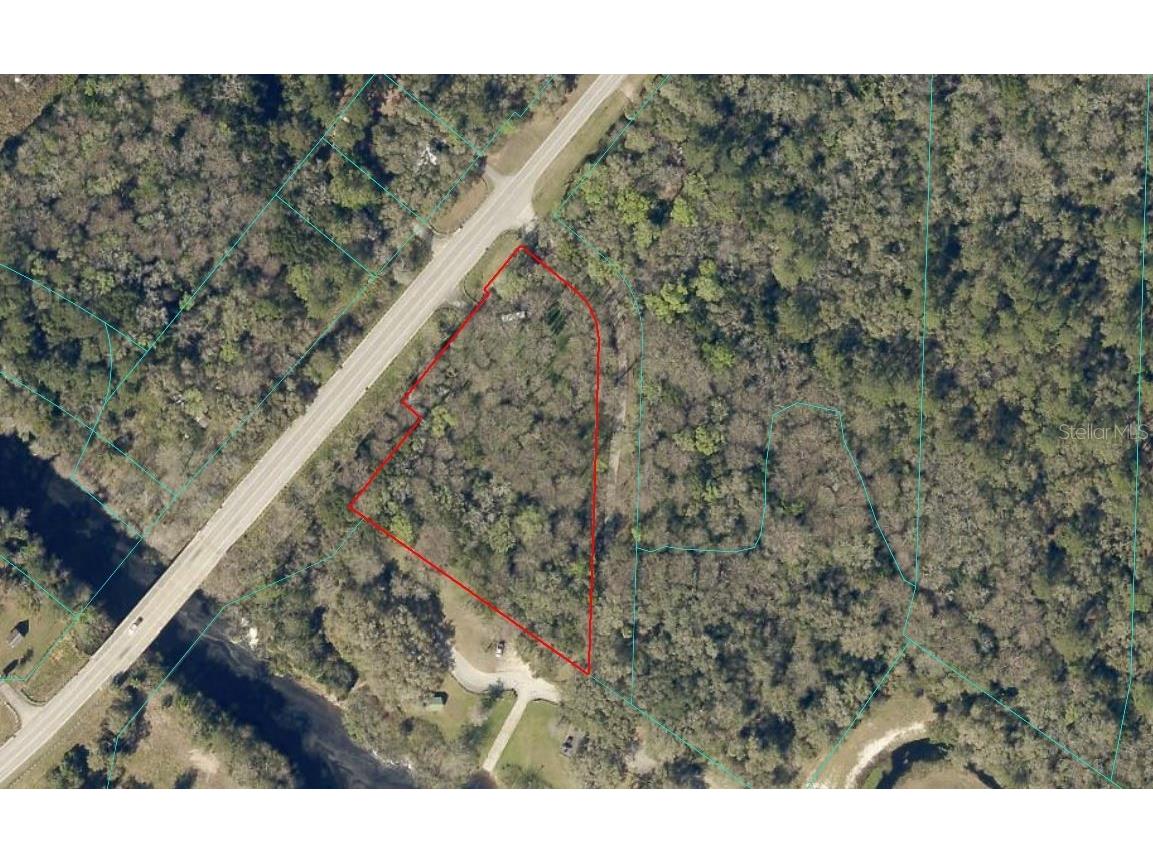 9591 SE Highway 464c Ocklawaha FL 32179 OM717190 image1
