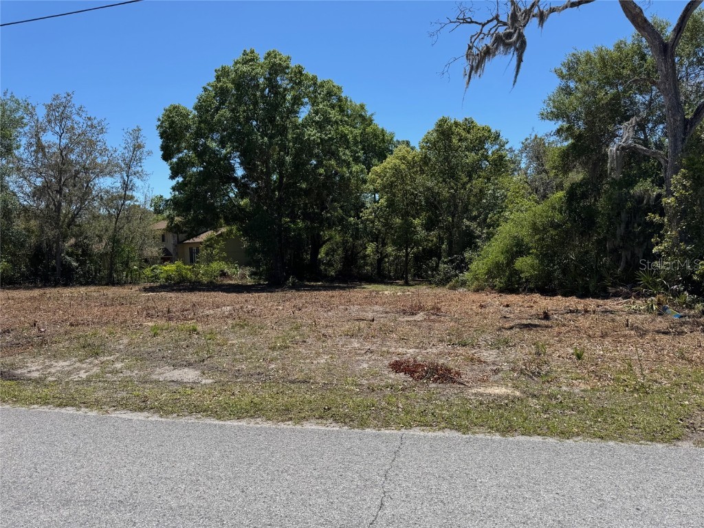 9591 Sunshine Boulevard New Port Richey FL 34654 W7875190 image1