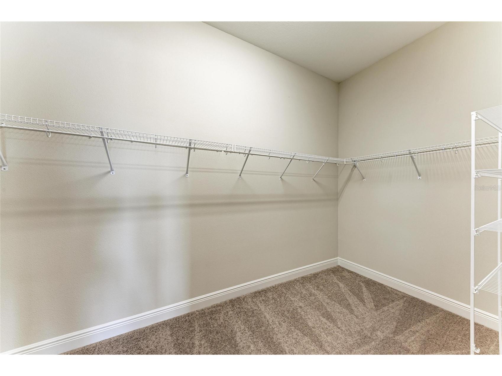 9592 Surrey Rose Drive San Antonio FL 33576 TB8456826 image8