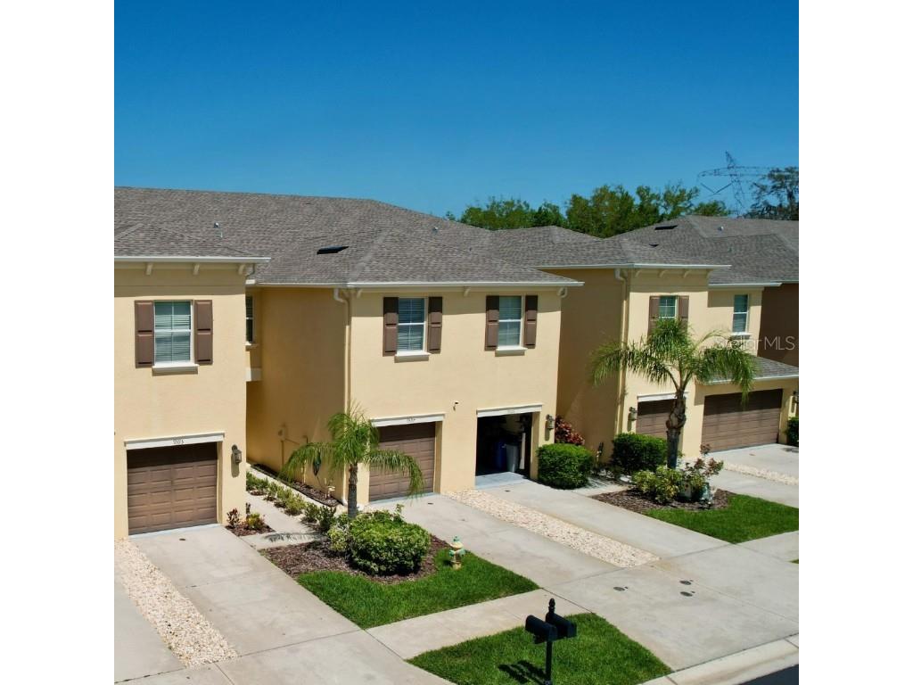 9593 Trumpet Vine Loop Trinity FL 34655 U8234757 image1