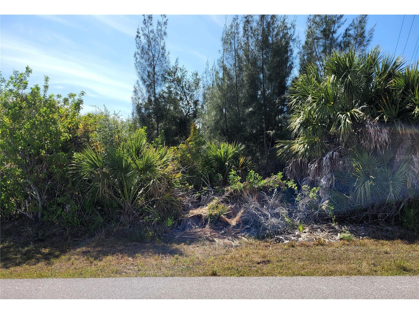 9598 Spring Circle Port Charlotte FL 33981 - ATTICA WATERWAY D6147399 image5