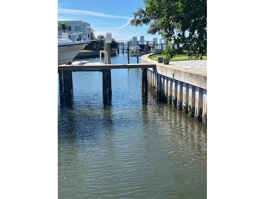 96 Adalia Avenue Tampa FL 33606 TB8447284 image16