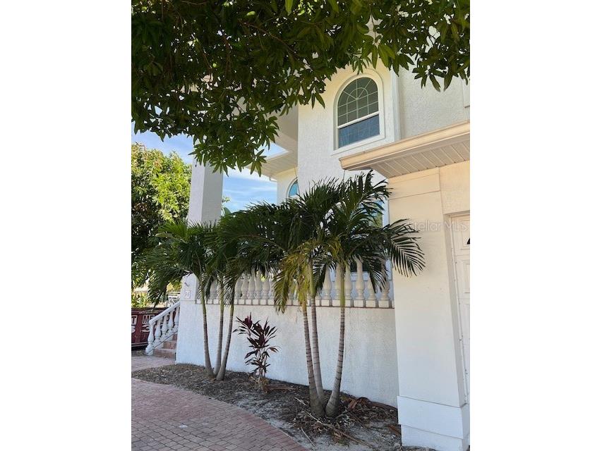 96 Adalia Avenue Tampa FL 33606 TB8447284 image6