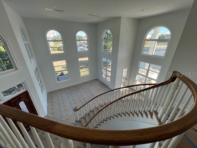 96 Adalia Avenue Tampa FL 33606 TB8447284 image8