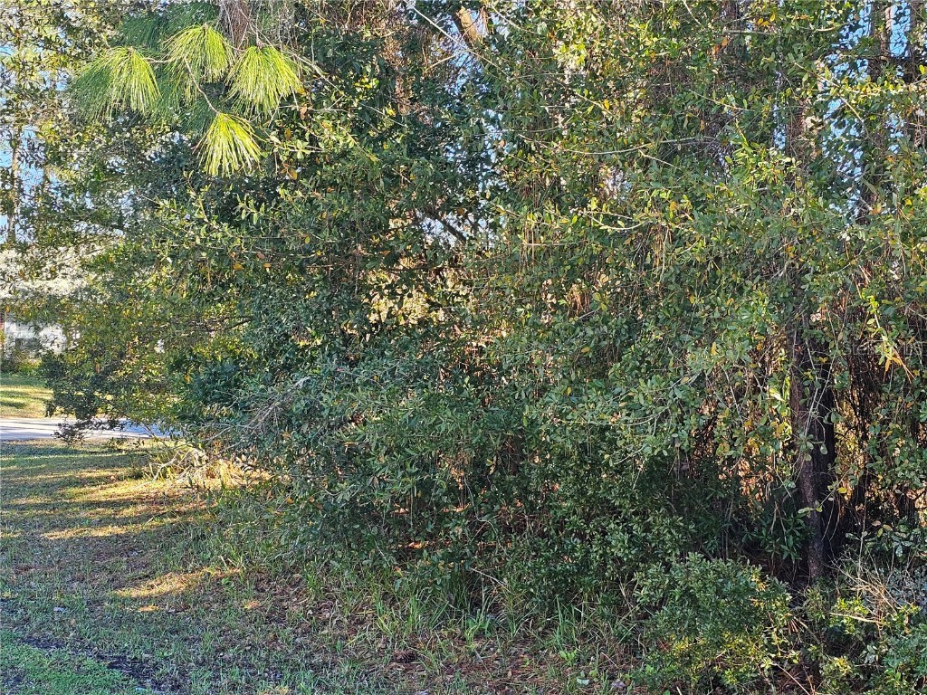 96 Bruning Lane Palm Coast FL 32137 FC297031 image1