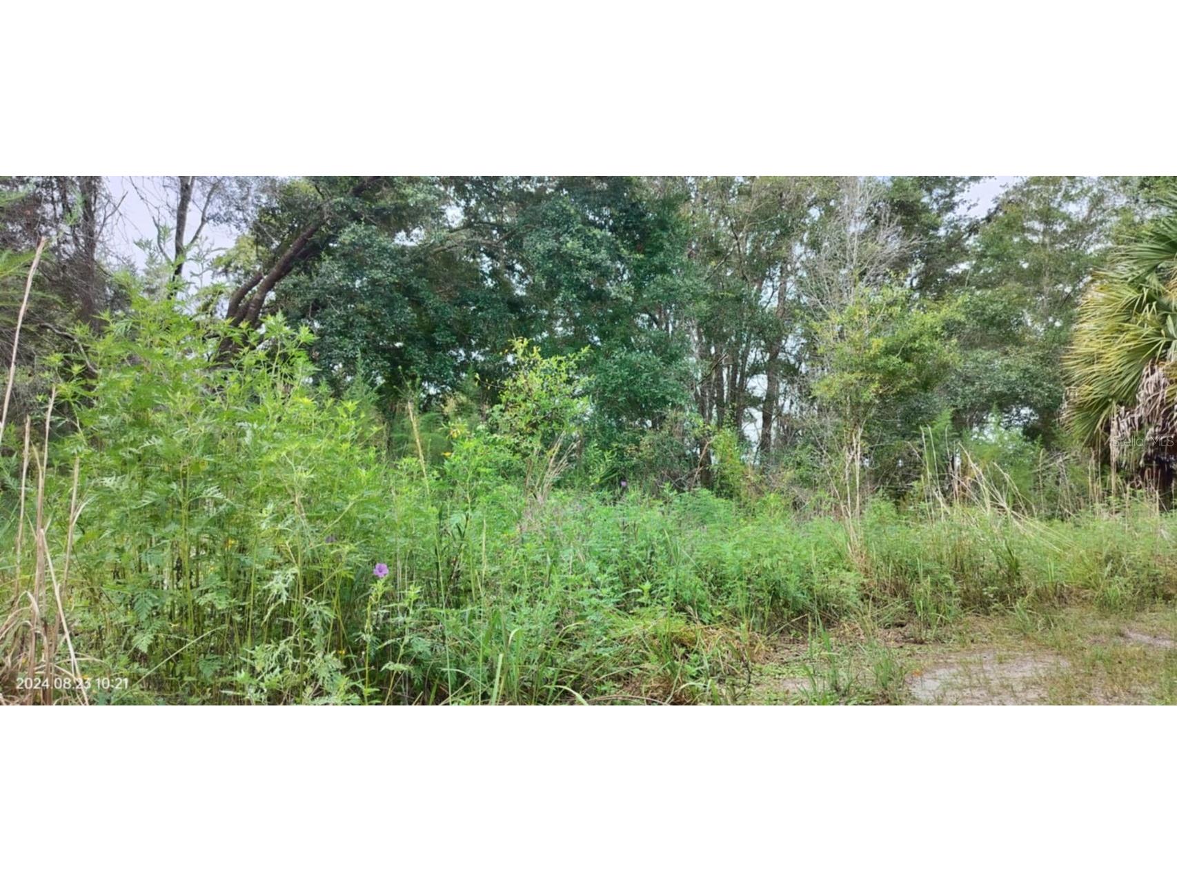 96 N Sheltering Oaks Drive Inverness FL 34453 T3551083 image1