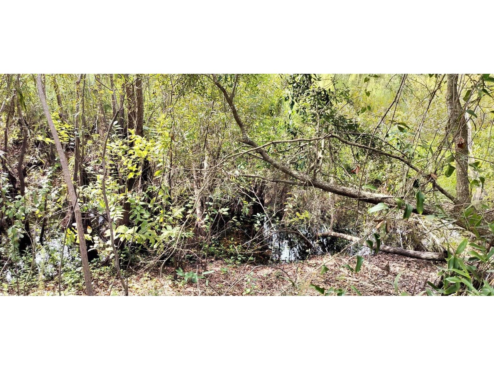 96 N Sheltering Oaks Drive Inverness FL 34453 T3551083 image10