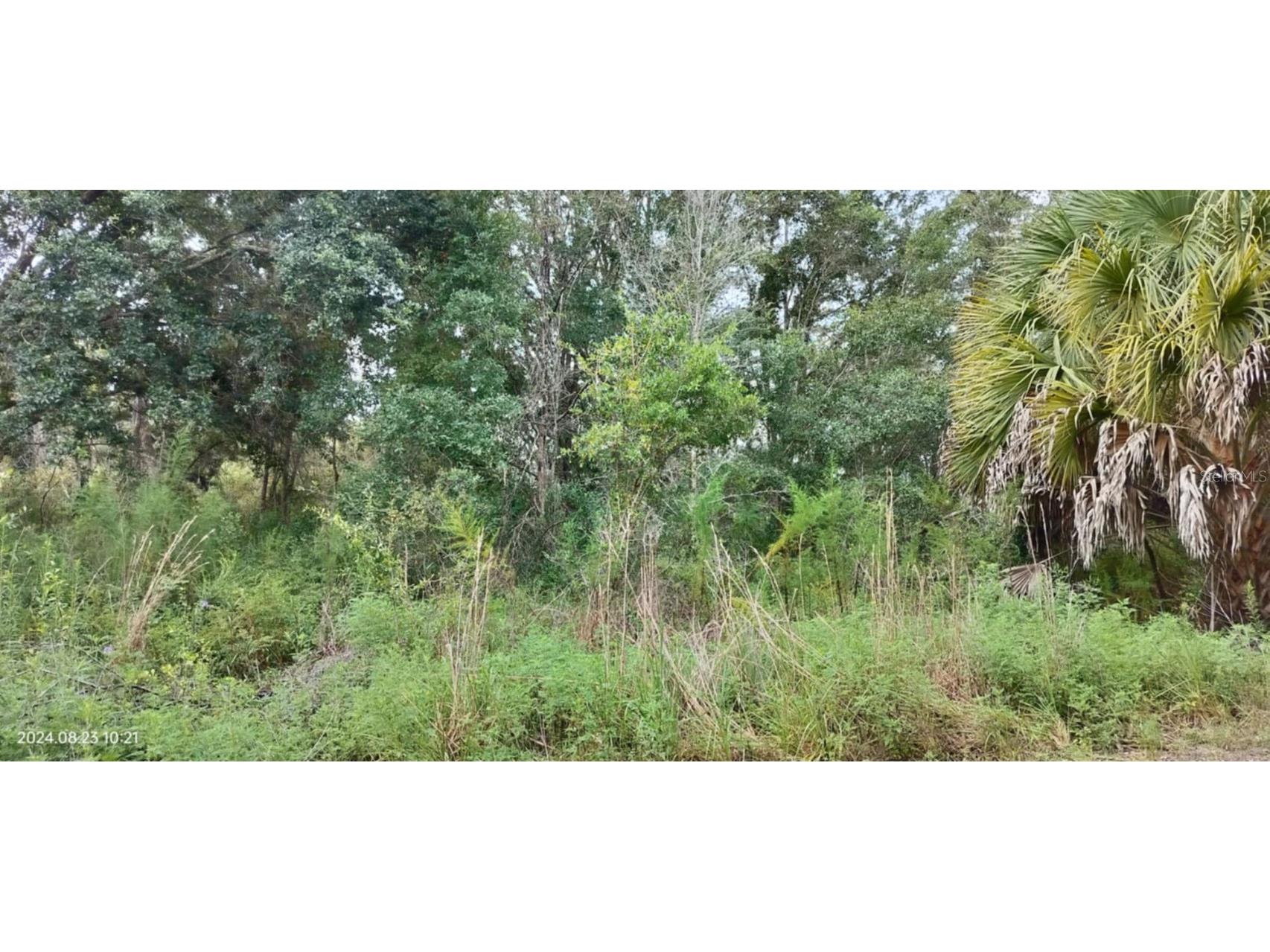 96 N Sheltering Oaks Drive Inverness FL 34453 T3551083 image12