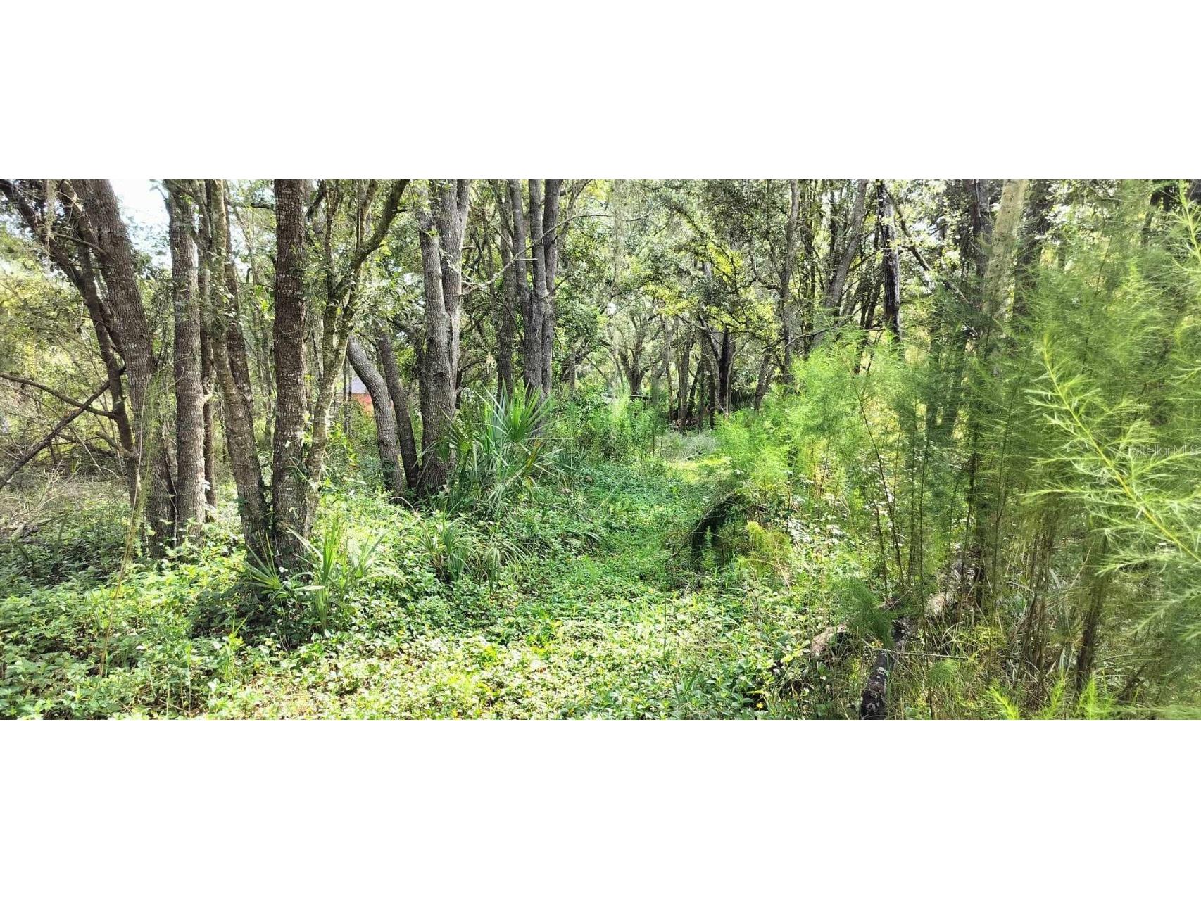 96 N Sheltering Oaks Drive Inverness FL 34453 T3551083 image13