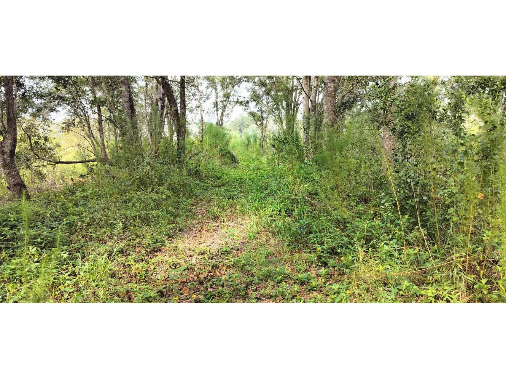 96 N Sheltering Oaks Drive Inverness FL 34453 T3551083 image15