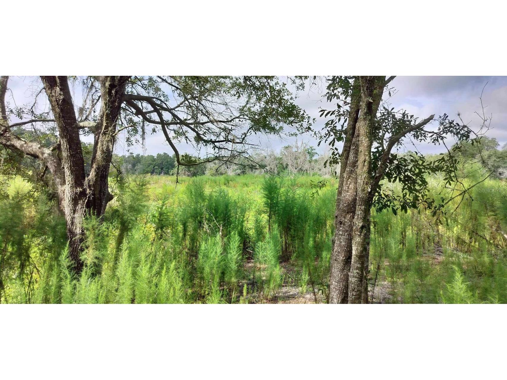 96 N Sheltering Oaks Drive Inverness FL 34453 T3551083 image16