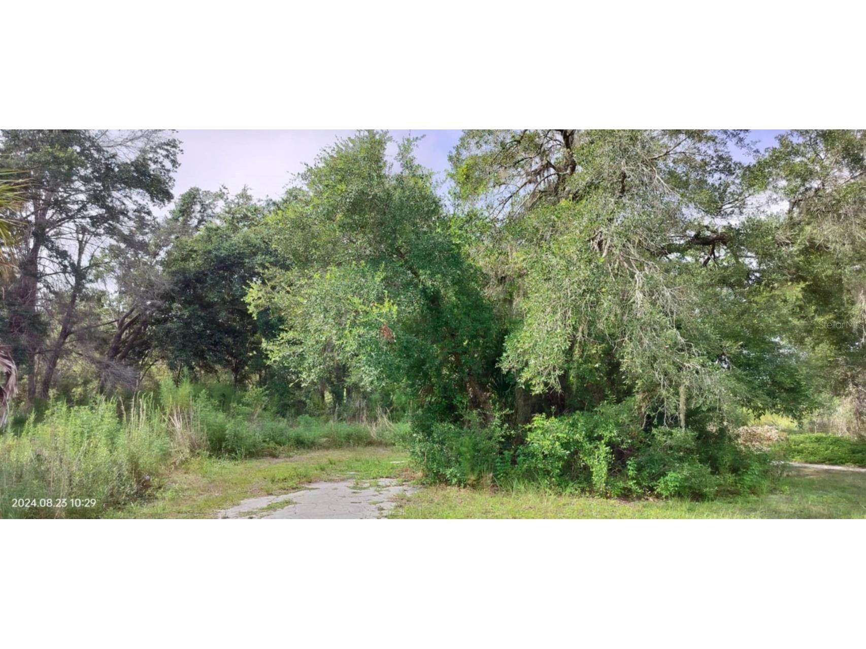 96 N Sheltering Oaks Drive Inverness FL 34453 T3551083 image17