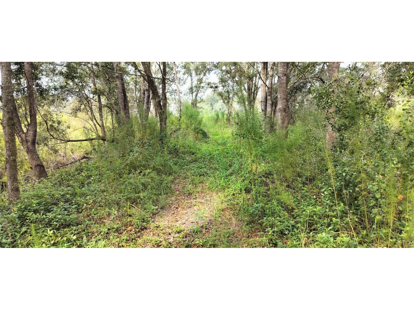 96 N Sheltering Oaks Drive Inverness FL 34453 T3551083 image18