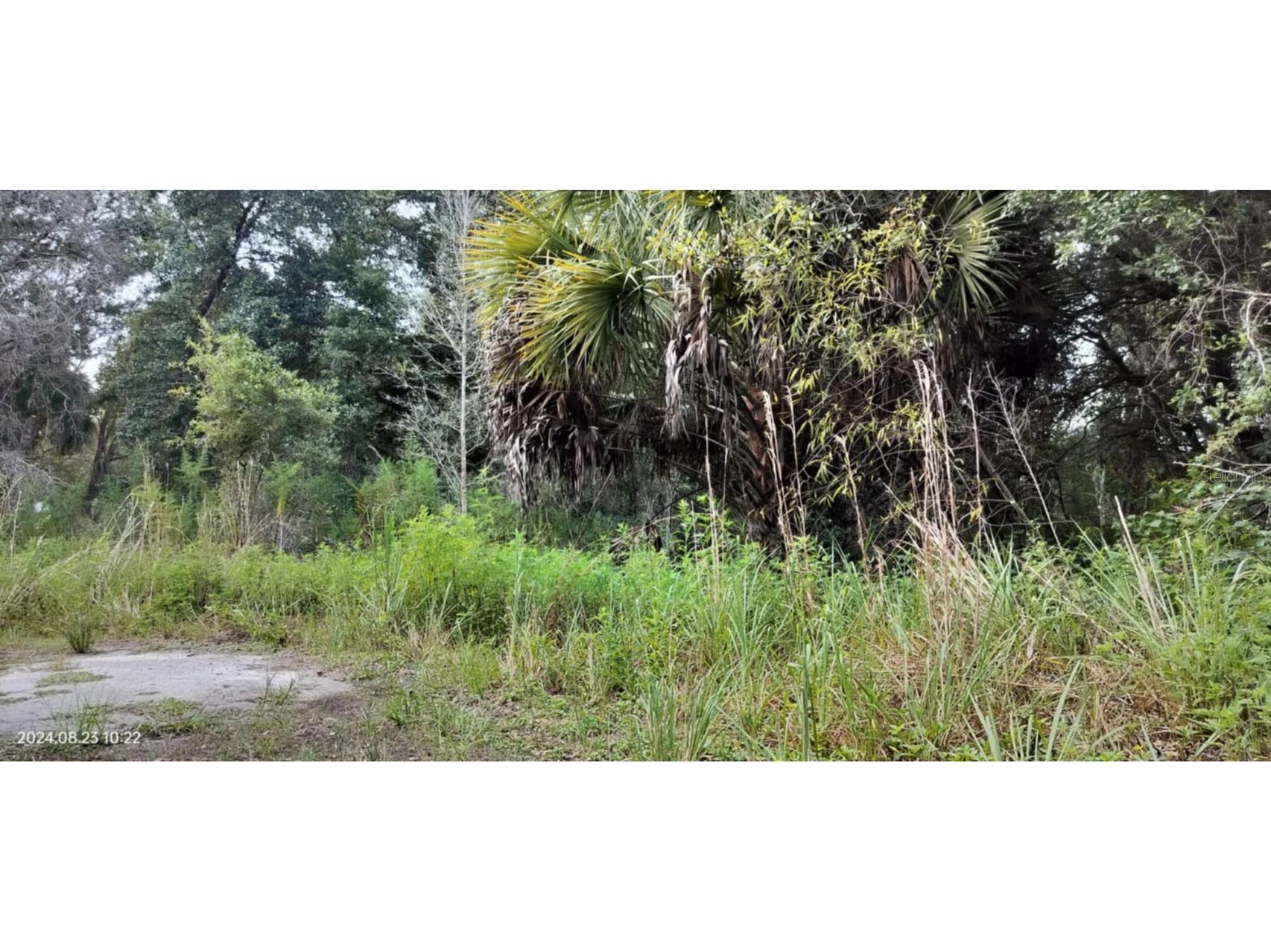 96 N Sheltering Oaks Drive Inverness FL 34453 T3551083 image19